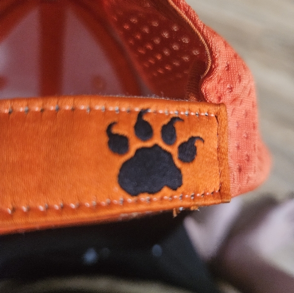 Cfl BC Lions cap mint - Picture 2 of 5